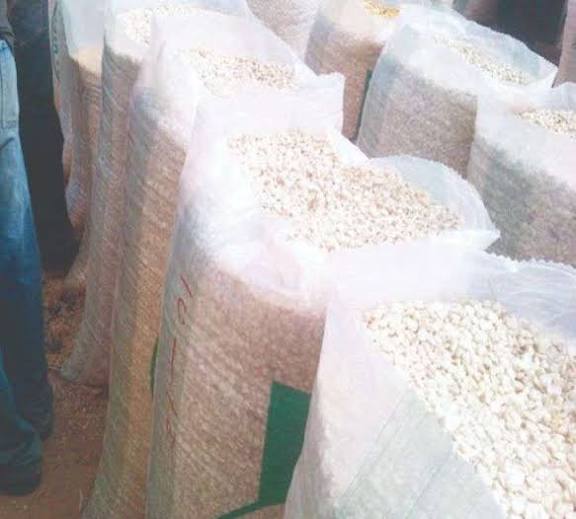 🌽 Corn (Maize – Raw, Dried)