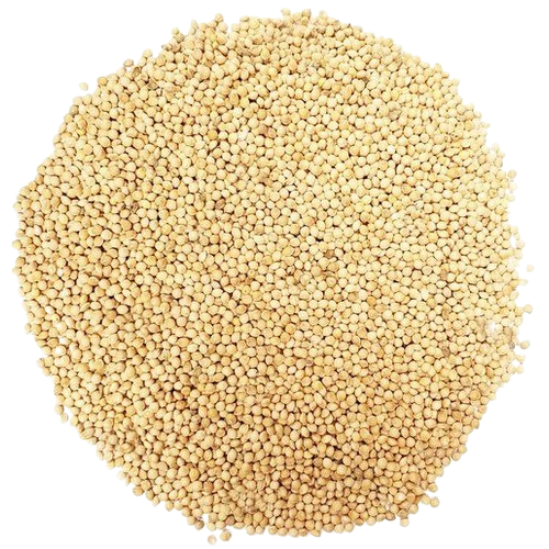 🌾 Millet (Raw, Farm-Fresh)