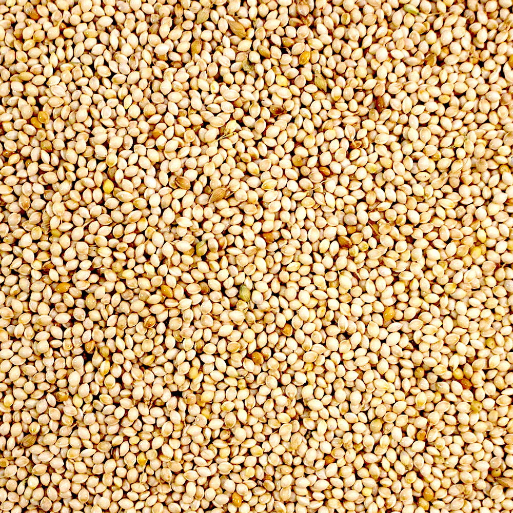 🌾 Millet (Raw, Farm-Fresh)